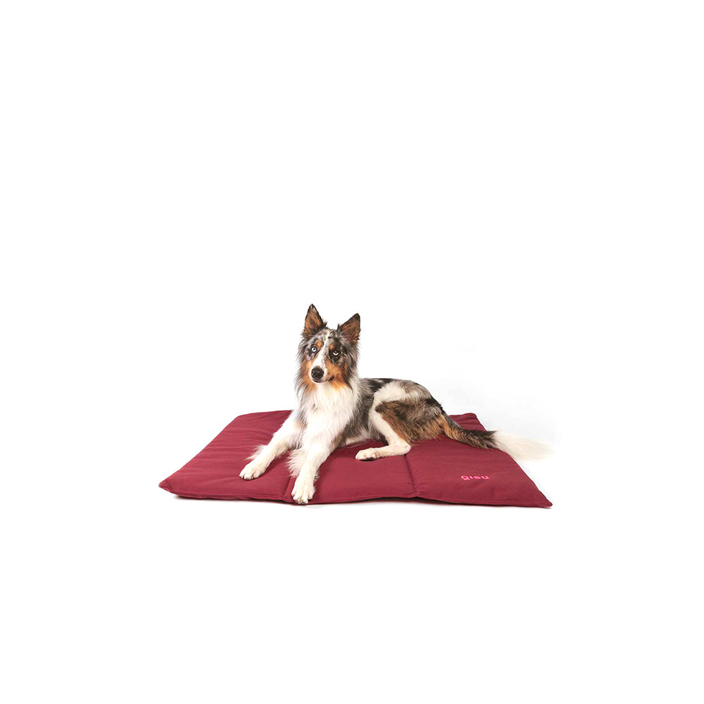 Hund liegt auf der Hundematte von Qisu - Nomad Bed in der stilvollen Farbe: Garnet.
