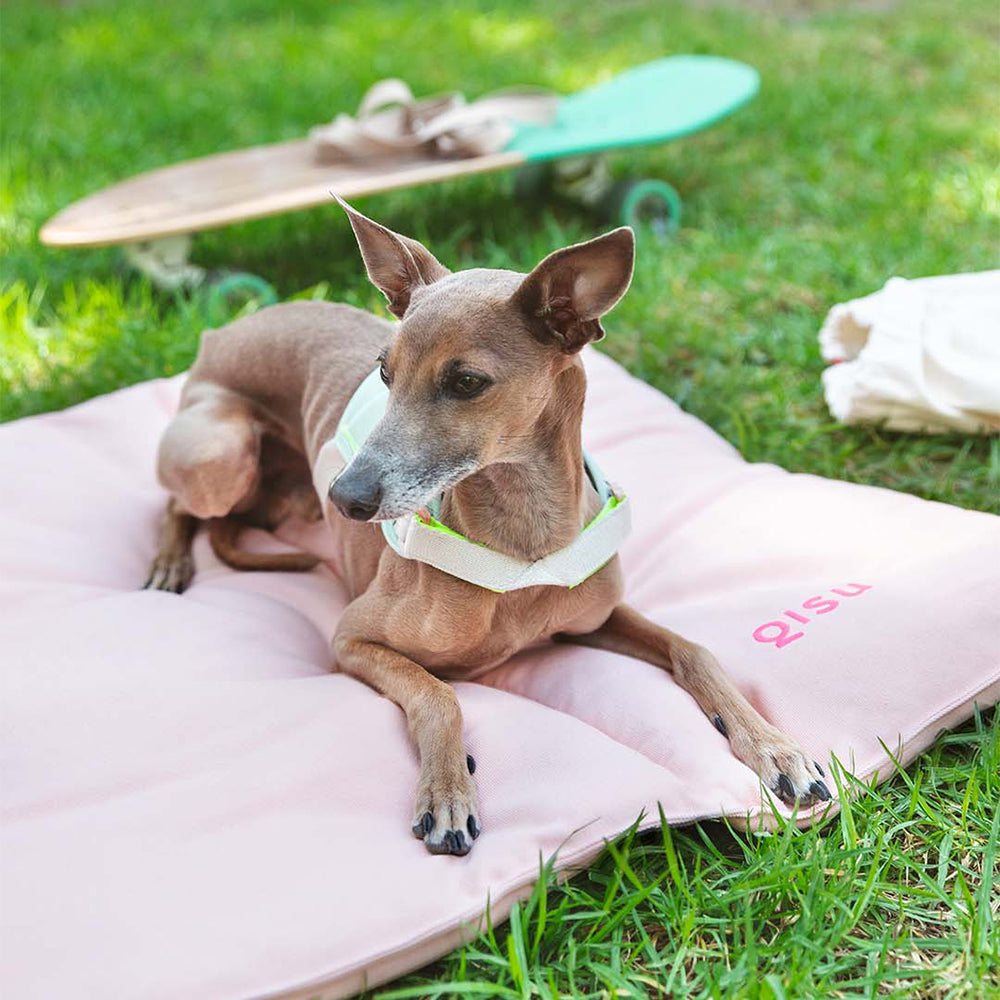 Hund entspannt auf der Hundematte in der Farbe: Light Pink im Park.