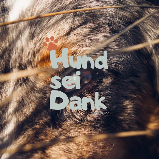 Premium | 90 Min. Hundefotoshooting inkl. 5 bearbeitete Bilder