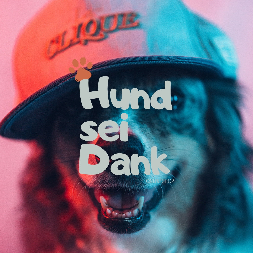 Premium | 90 Min. Hundefotoshooting inkl. 5 bearbeitete Bilder