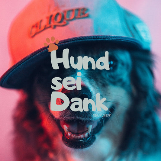 Basis | 30 Min. Hundefotoshooting inkl. 1 bearbeitetes Bild