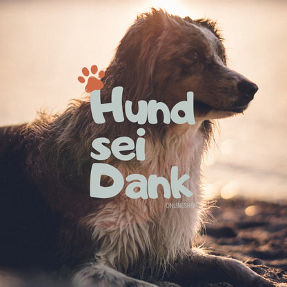 Premium | 90 Min. Hundefotoshooting inkl. 5 bearbeitete Bilder