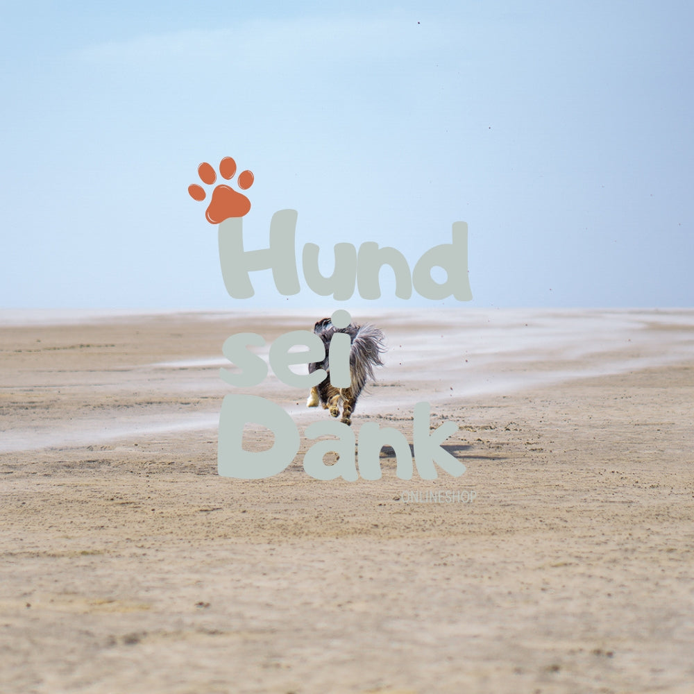 Premium | 90 Min. Hundefotoshooting inkl. 5 bearbeitete Bilder