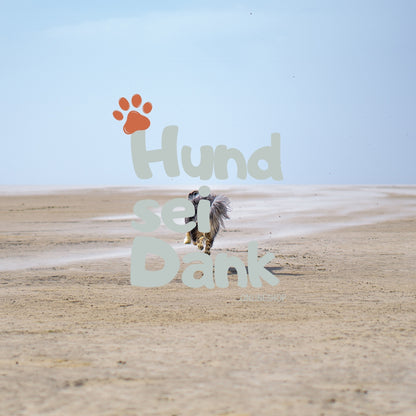 Premium | 90 Min. Hundefotoshooting inkl. 5 bearbeitete Bilder