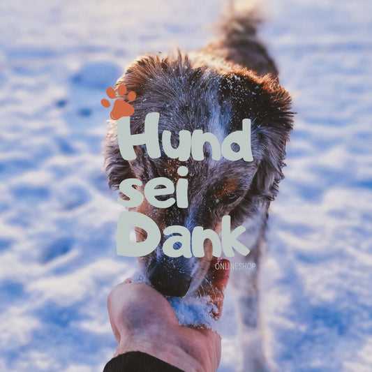 Standard | 60 Min. Hundefotoshooting inkl. 3 bearbeitete Bilder