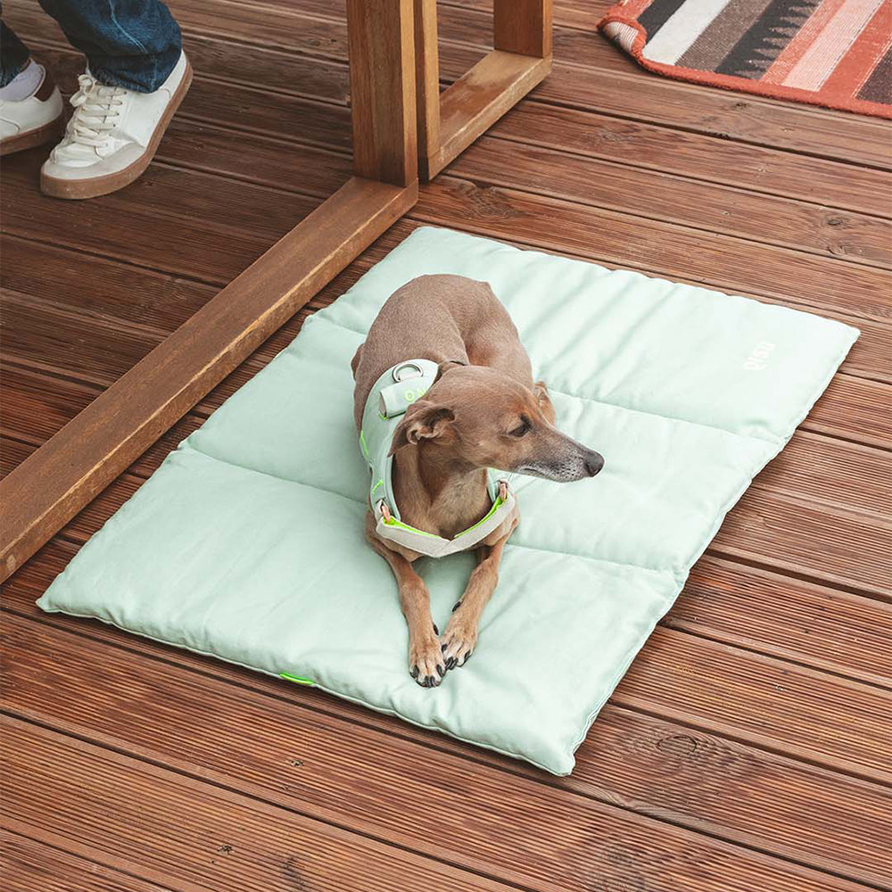 Hund liegt auf der Hundematte Nomad Bed von Qisu in der Farbe: Mint - ideal für den In- und Outdoorbereich.