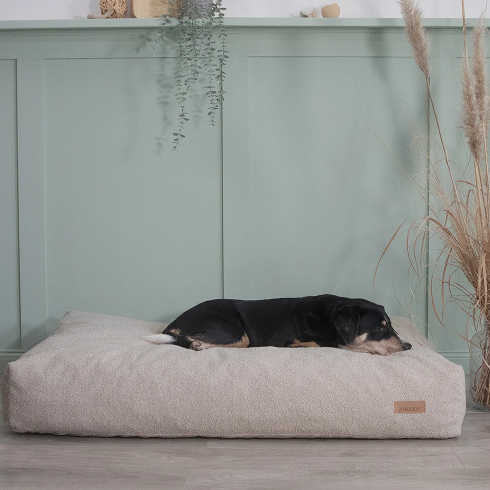 Hund liegt ausgestreckt auf dem LeFluff Hundebett in Beige in wohnlicher Umgebung