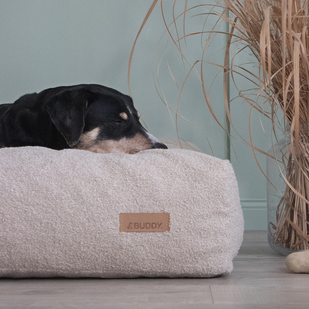 Hund liegt mit Kopf auf dem LeFluff Hundebett in Beige – gemütliches Wohnambiente