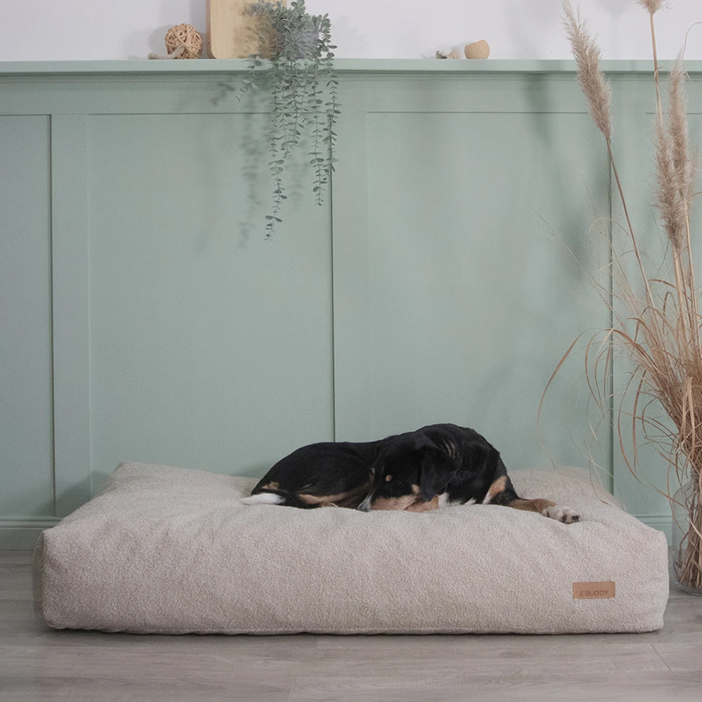 Hund liegt zusammengerollt auf dem LeFluff Hundebett ohne Rand – Beige, Wohnumgebung