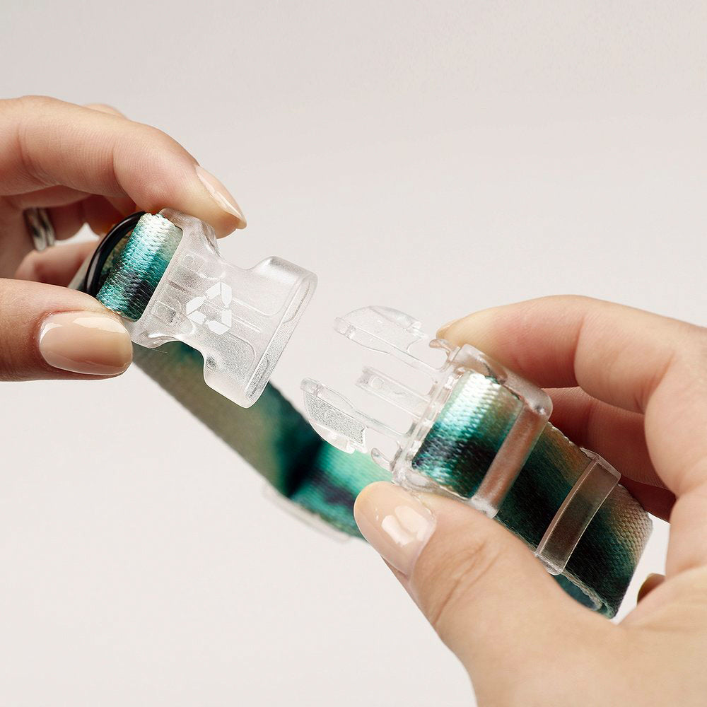 Nahaufnahme des EDDGY™ Hundehalsbandes mit Klickverschluss aus recyceltem Kunststoff, das für einfaches An- und Abnehmen sorgt.