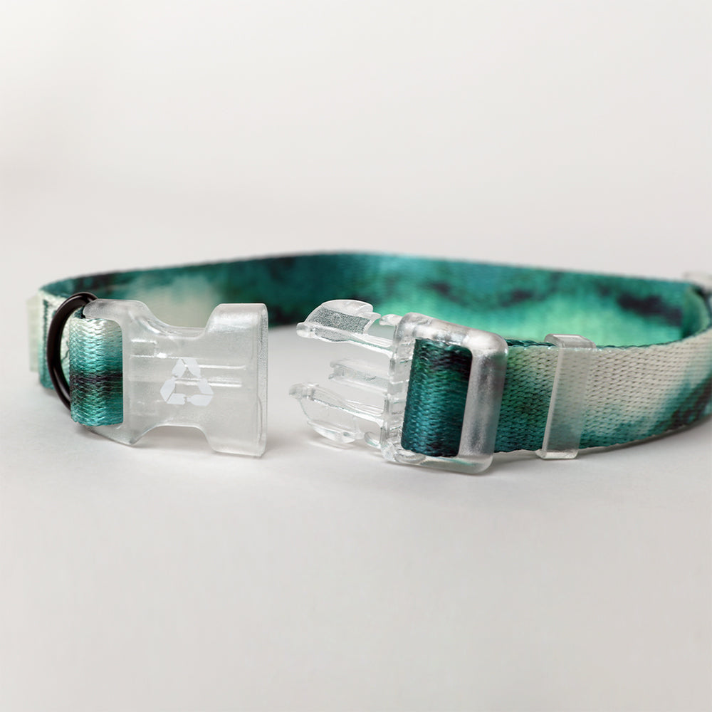 Detailansicht des EDDGY™ Hundehalsbandes mit robustem Klickverschluss, hergestellt aus nachhaltigem Material.