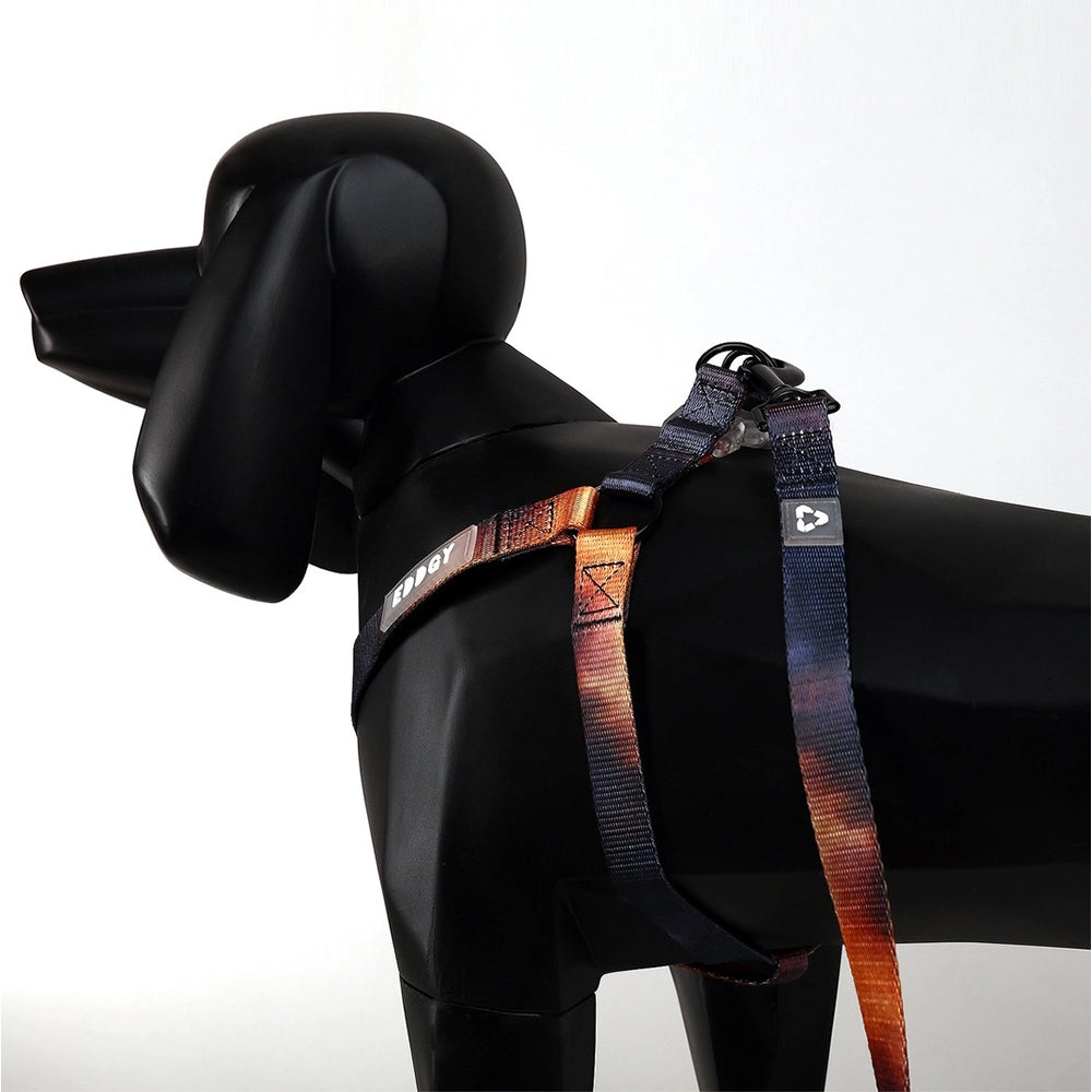 Bruce Hundeleine an Schaufensterpuppe in Hundeform präsentiert