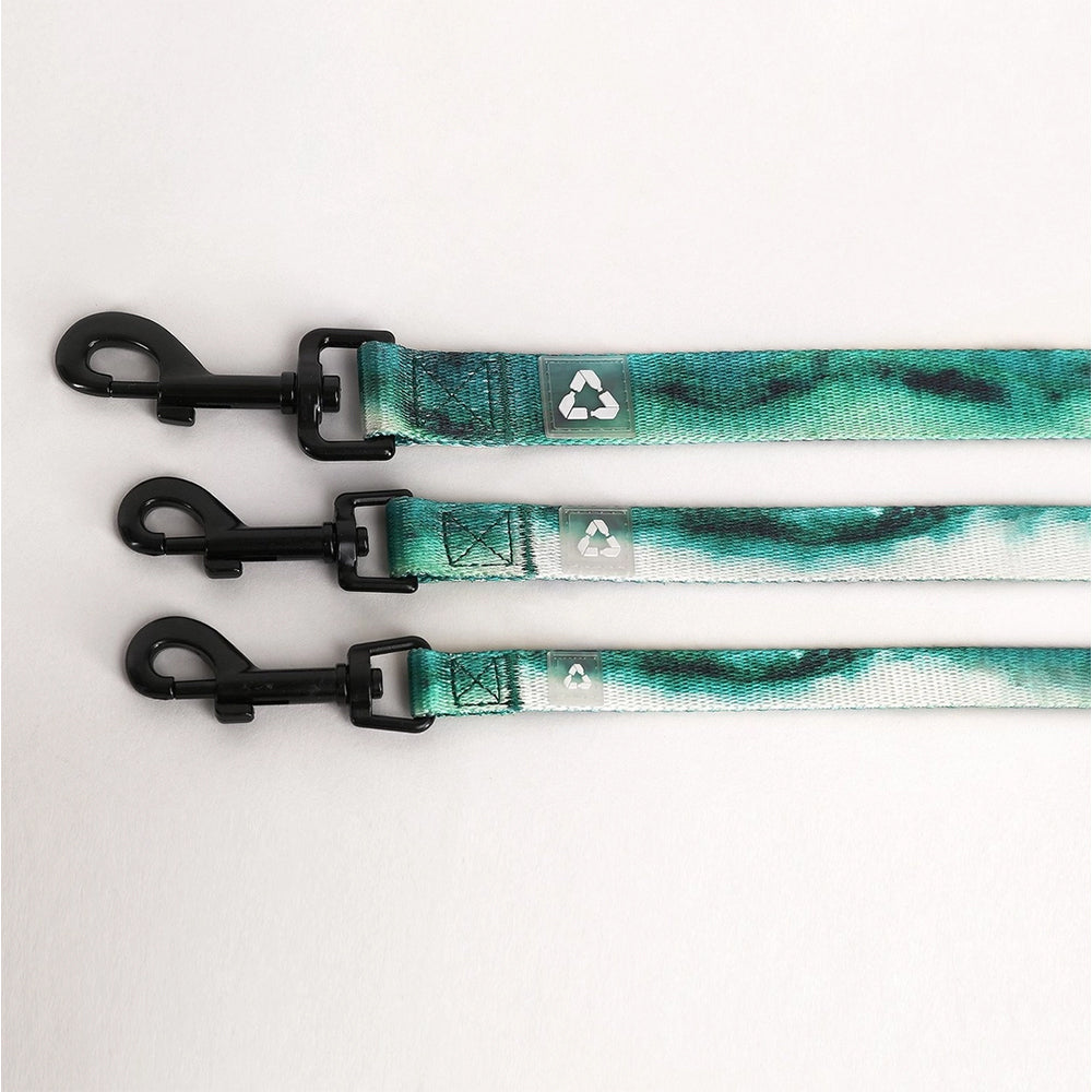 Hundeleine Maximus in allen Größen – Vergleich von S, M und L nebeneinander