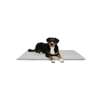 Hund liegt auf der Hundematte Matt in der Farbe: Stone von BUDDY.