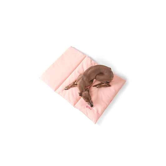 Hund liegt auf der Hundematte von Qisu - Nomad Bed in der stilvollen Farbe: Light Pink.