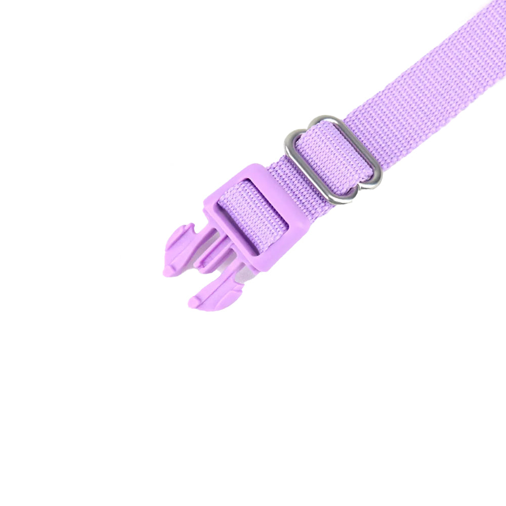 Der Klickverschluss vom Halsband Kodie in Lila