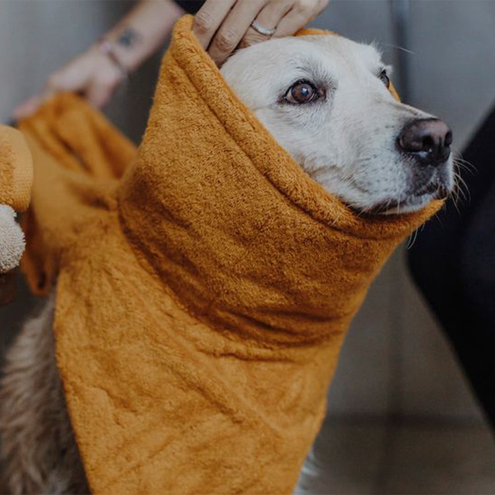 Bademantel Amber von Lill’s wird einem Hund über den Kopf gezogen