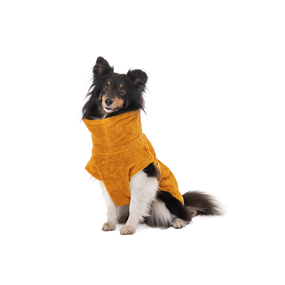 Kleiner Hund sitzt mit angezogenem Lill’s Hundebademantel Amber