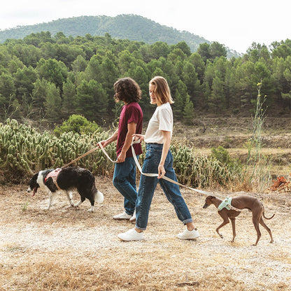 Mensch und Hund während eines Spazierganges in der Natur mit dem Hug Harness von Qisu