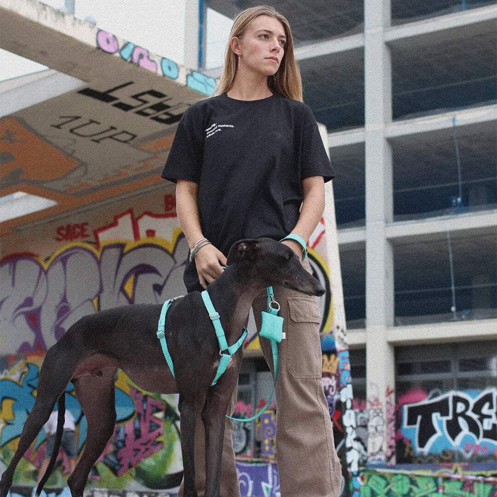 Mensch trägt das T-Shirt in der Stadt und führt seinen Hund aus.