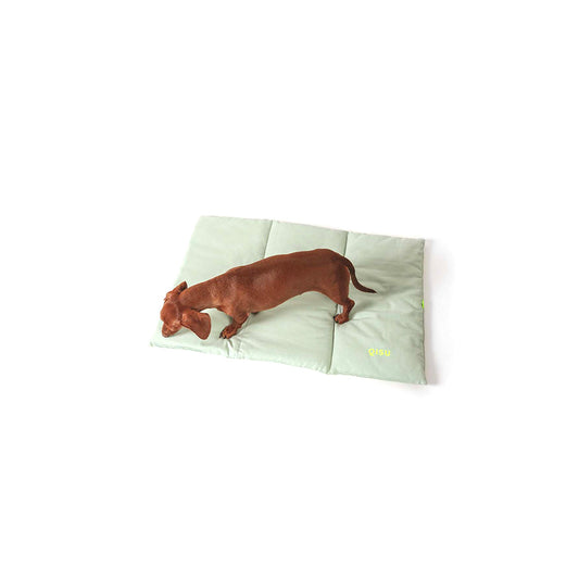 Hund geht über die Hundematte von Qisu- Das Nomad Bed in der stilvollen Farbe: Mint.