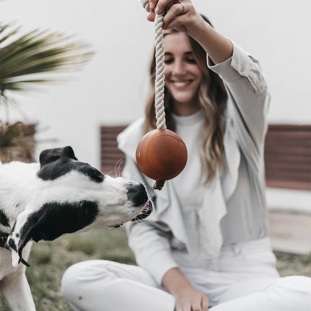 Hund spielt mit Mensch draußen mit dem Retorn Ball & Rope – interaktives, natürliches Hundespielzeug aus Bio-Harz und Baumwolle