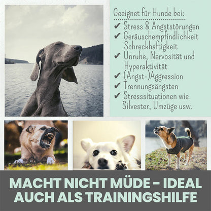 Noms+ Wohlfühlsnack mit beruhigender Wirkung – vegan und ohne Müdigkeit