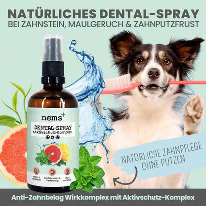 Anwendungsgebiete des Zahnpflege-Sprays für Hunde und Katzen