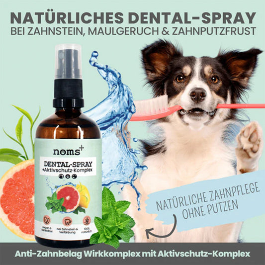 Anwendungsgebiete des Zahnpflege-Sprays für Hunde und Katzen