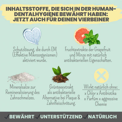 Inhaltsstoffe des Zahnpflege-Sprays von Noms+