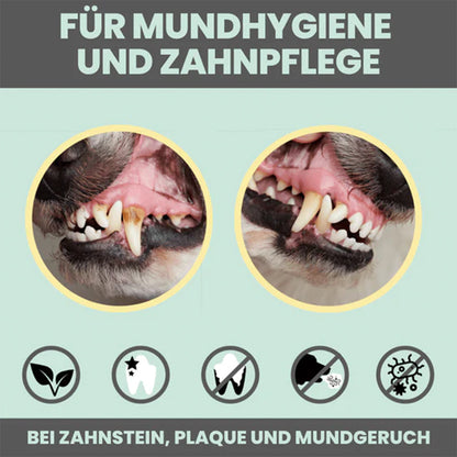 Vorher-Nachher Vergleich bei Zahnpflege mit Noms+ Spray, Bild 1