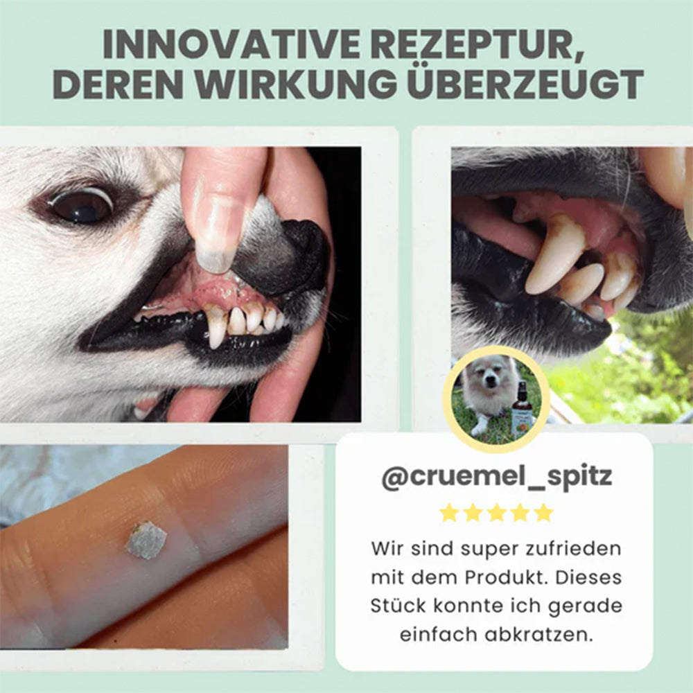 Vorher-Nachher Vergleich bei Zahnpflege mit Noms+ Spray, Bild 2