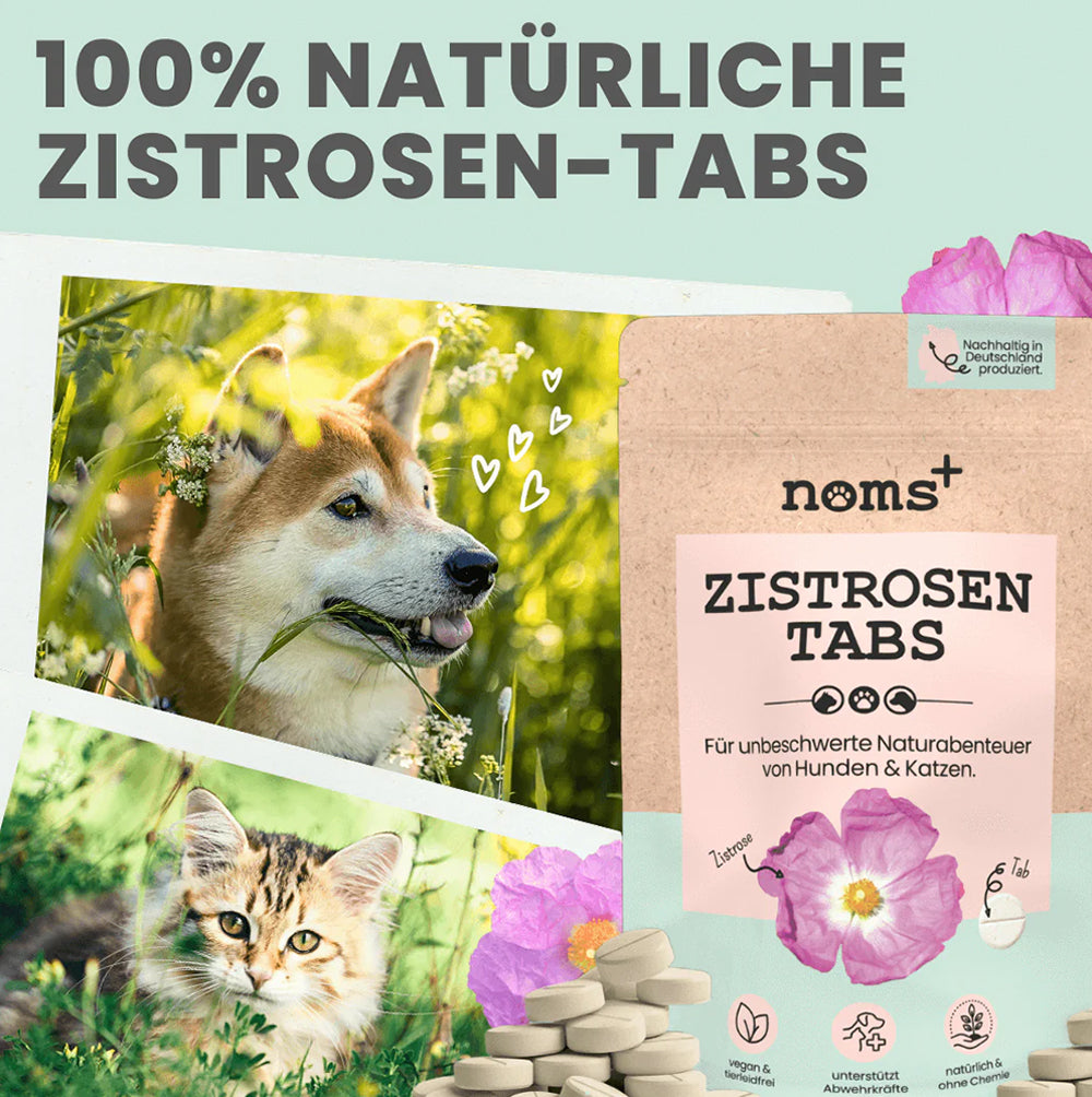 Hinweis auf die natürliche und vegane Rezeptur der Zistrosen Tabs