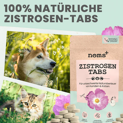 Hinweis auf die natürliche und vegane Rezeptur der Zistrosen Tabs
