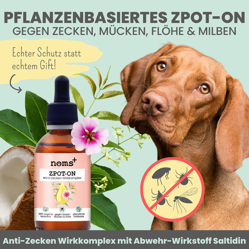 Übersicht der pflanzlichen und wirksamen Inhaltsstoffe sowie Anwendung des Zpot-On von Noms+